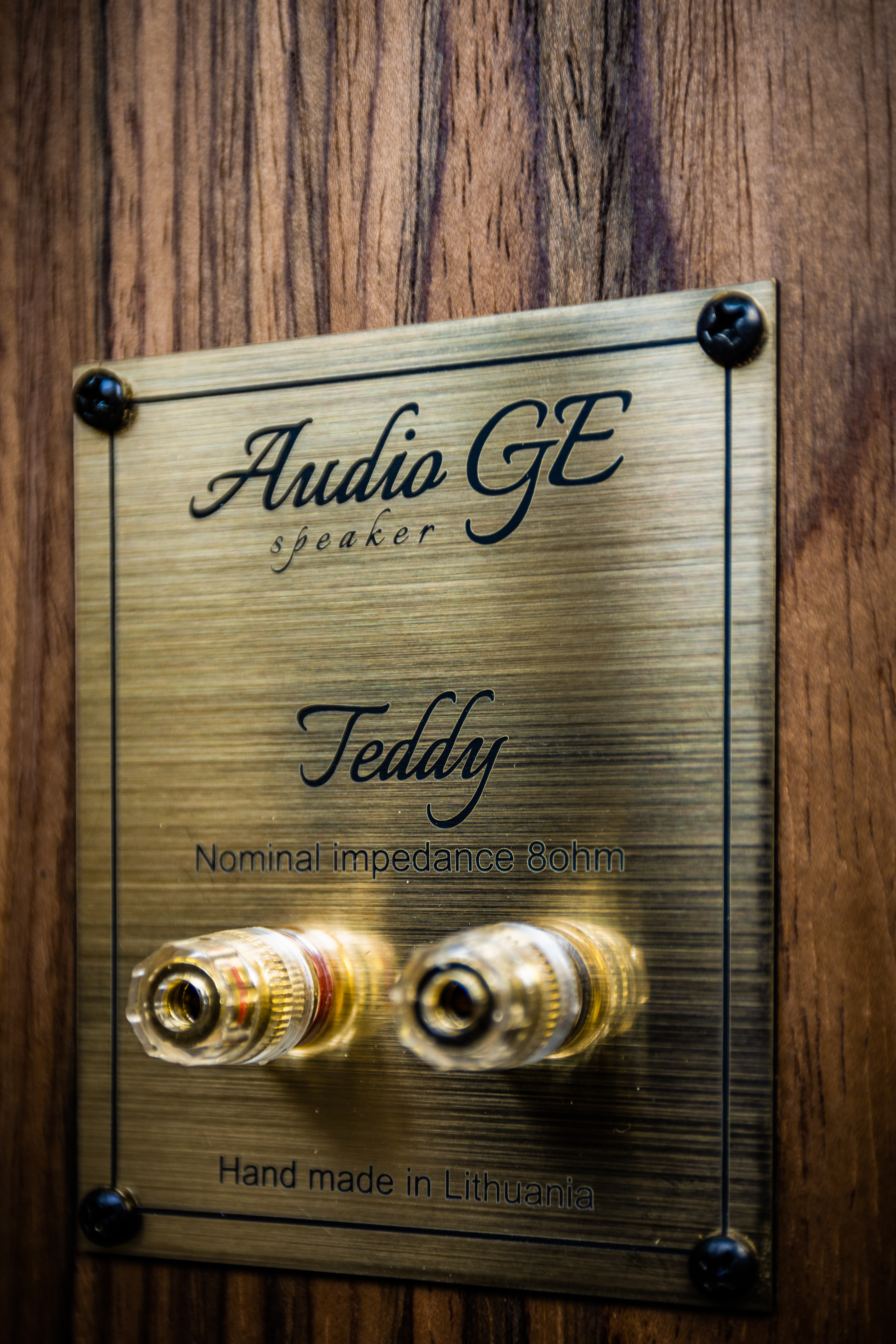 Teddy by AudioGe Classic 2-Wege Standlautsprecher