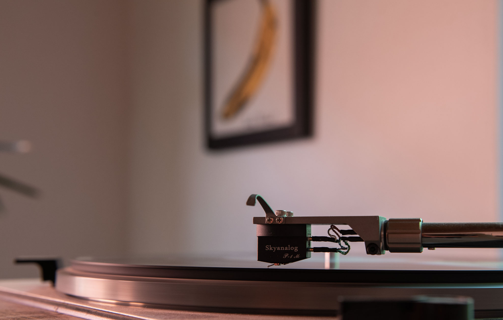 Skyanalog P1-M MC 