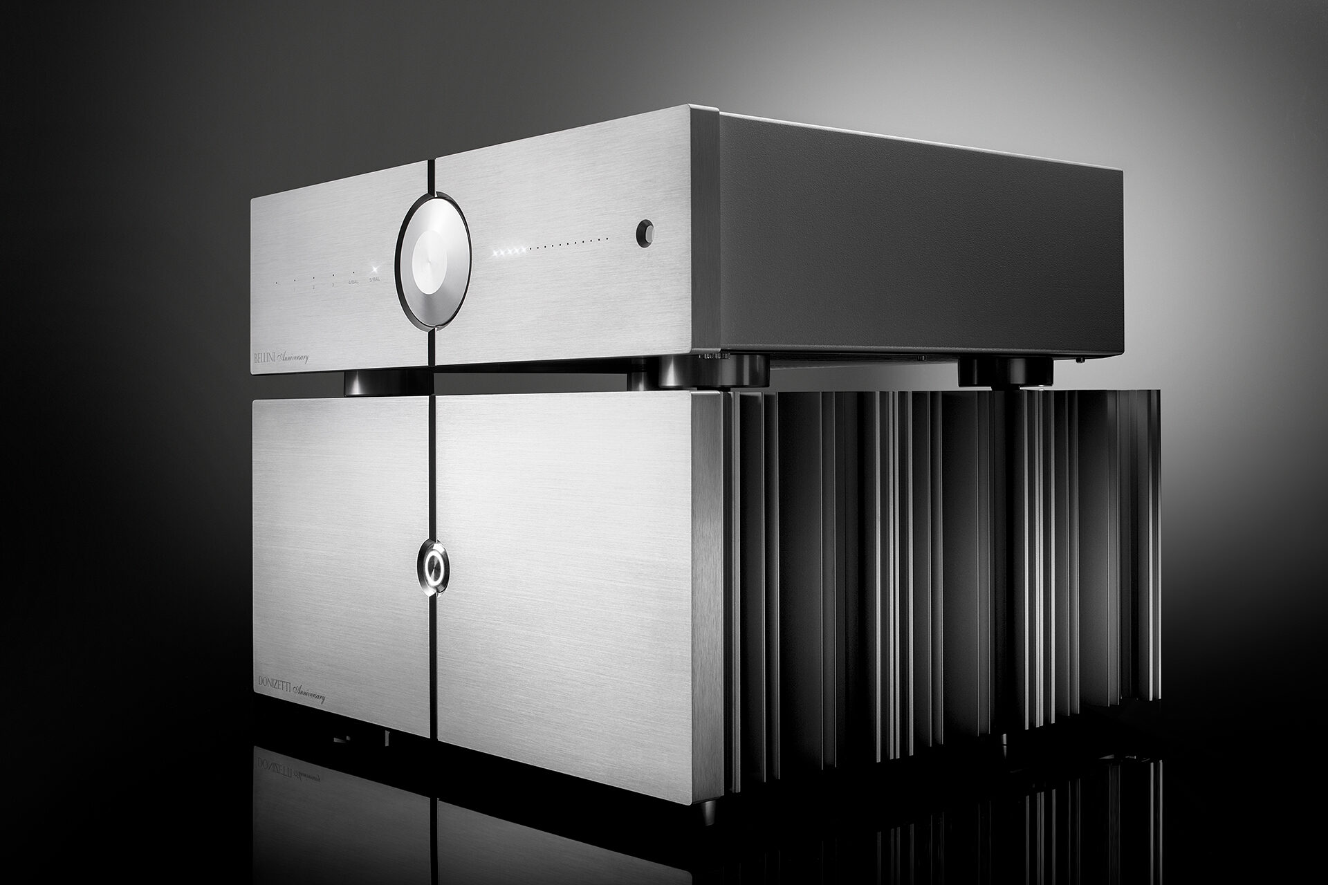AUDIO ANALOGUE Donizetti Anniversary Endverstärker