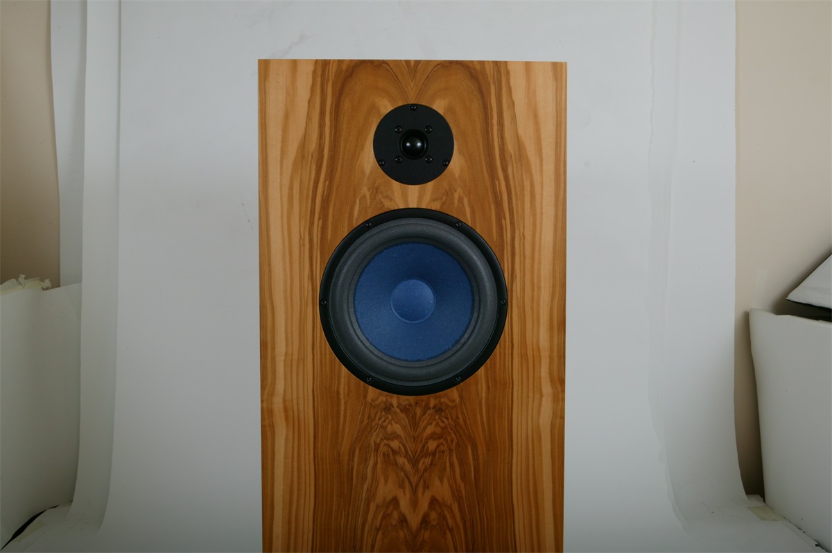 Audio Note (UK) AN-E-SPE HE Lautsprecher (1 Paar)