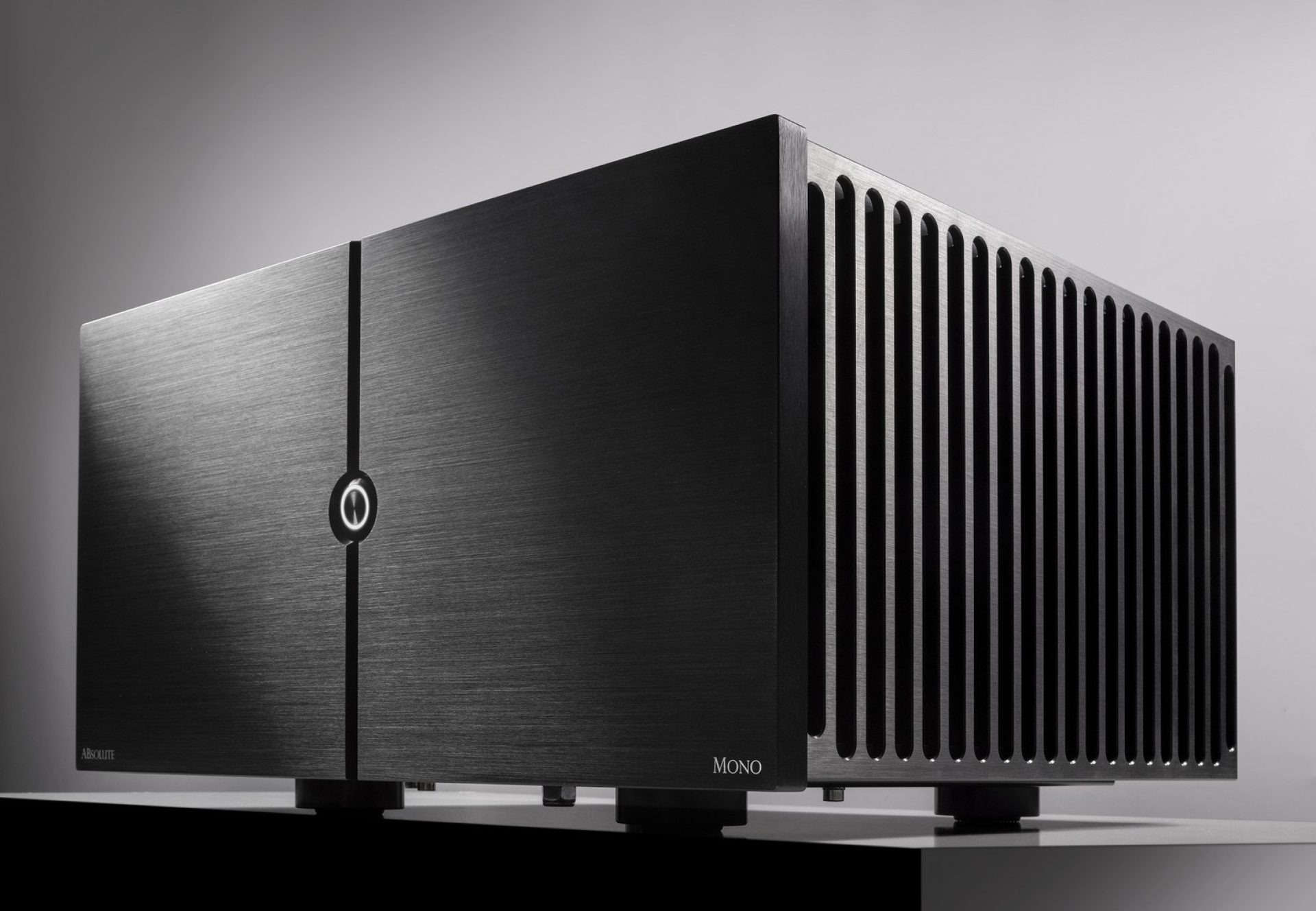 AUDIO ANALOGUE ABsolute PA Mono Endverstärker (1 Paar)
