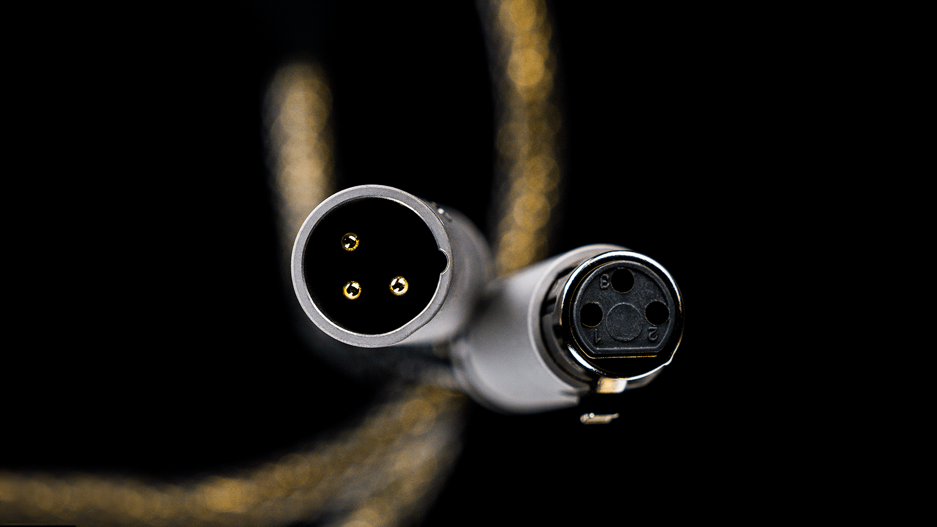 GS-XLR-1pcs-CableEnds-HangingTowardsCam-Close-DESKTOP-min