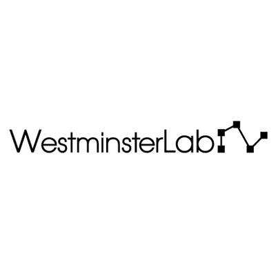 Westminsterlab Phono Standard (1Paar)