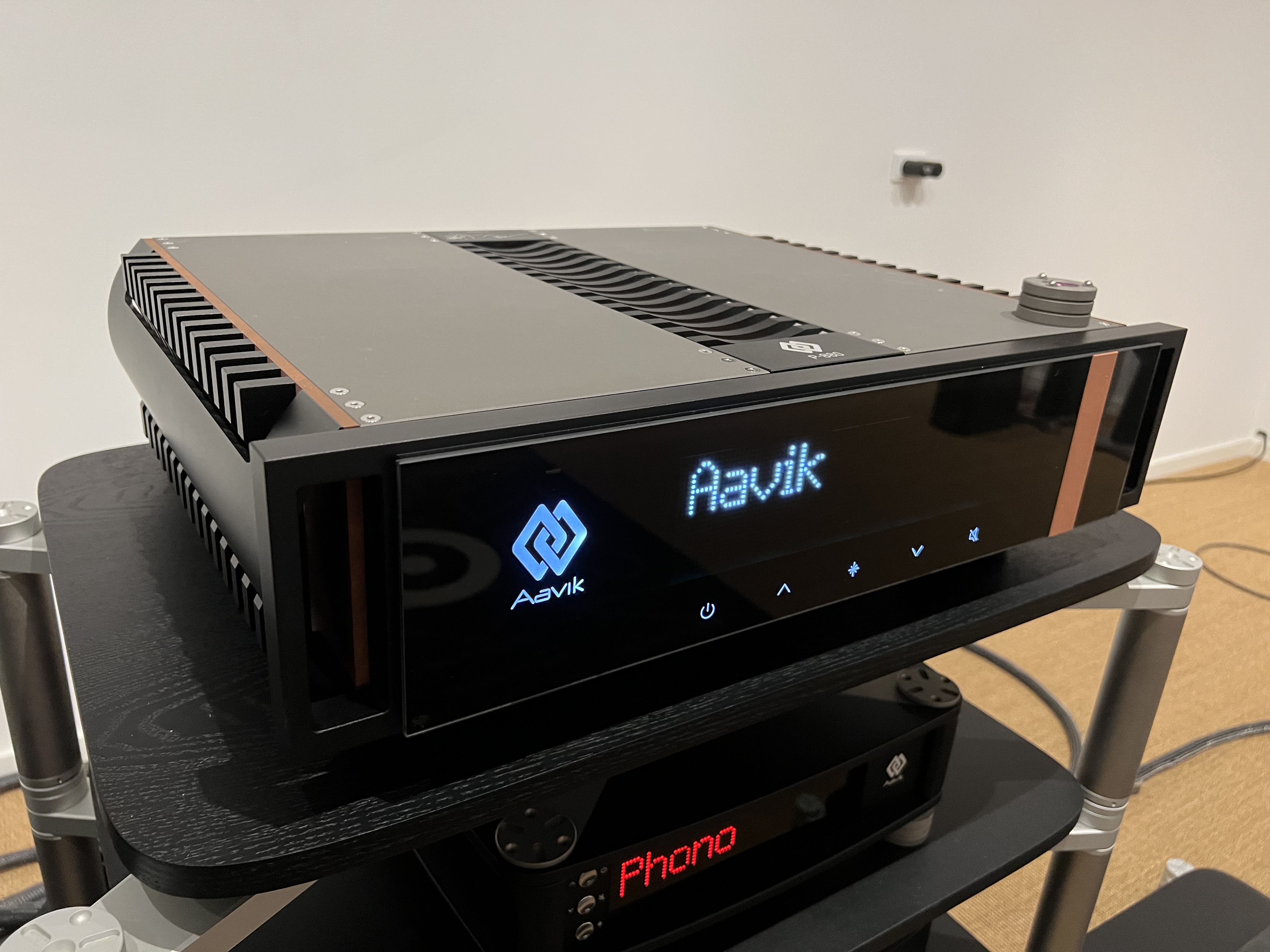 IMG_8668 Aavik P-880 Endstufe