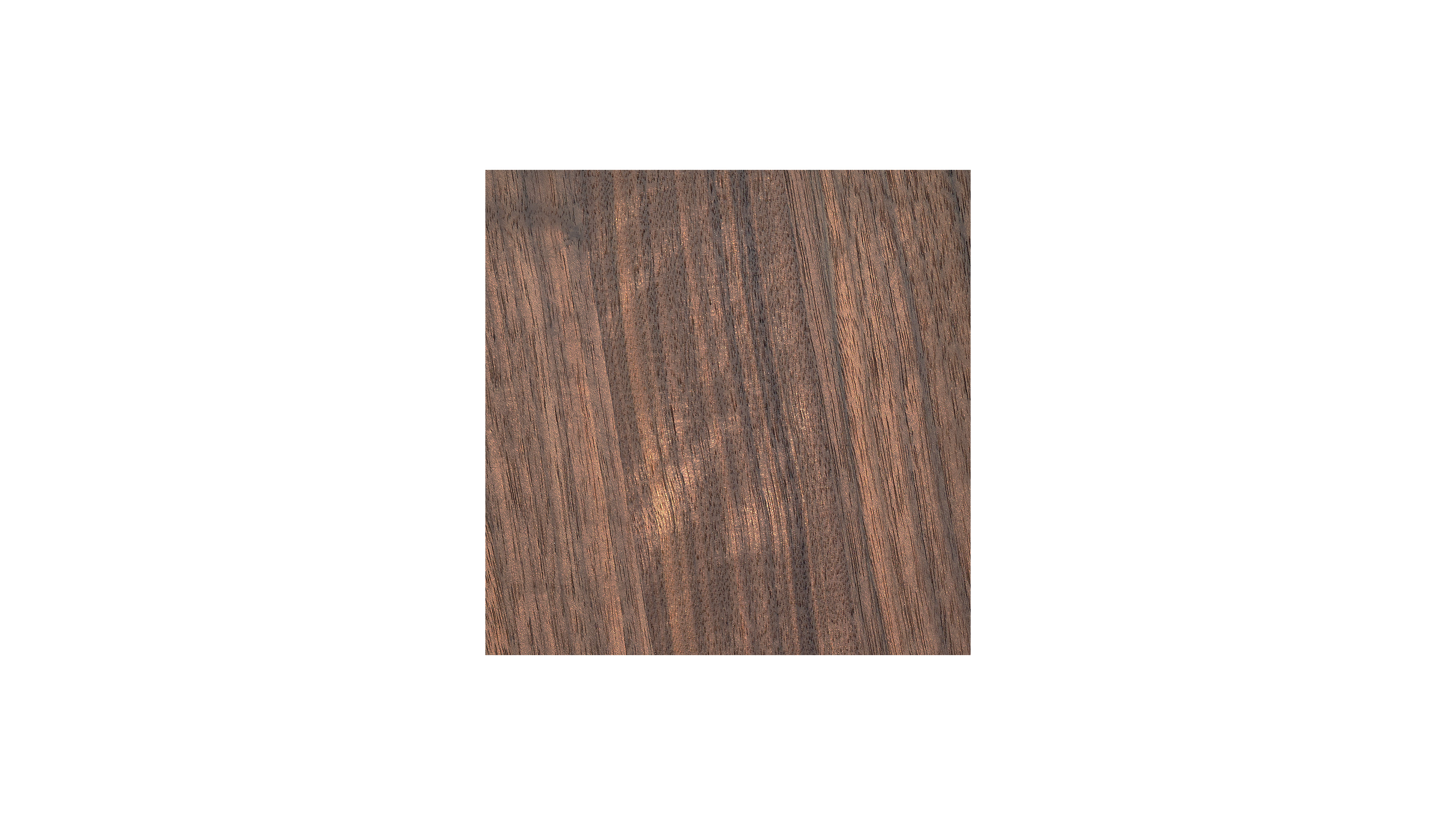 american walnut