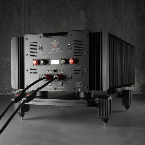 The Gryphon Apex-Stereo Endverstärker (1Stück)